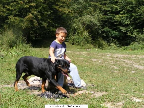 off libere) wyko david nepotelul meu