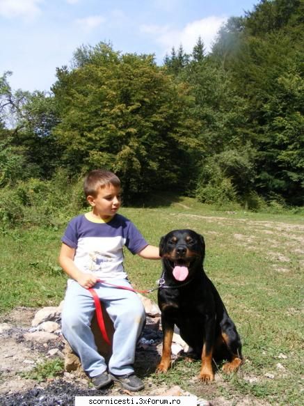 off libere) wyko david nepotelul meu