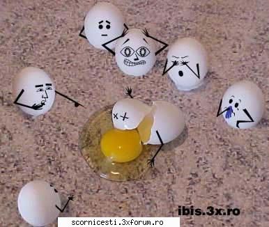 Aici Postare Poze Funny - Sa tinem si noi un moment de reculegere in - Funny