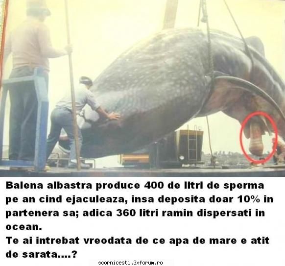 Aici Postare Poze Funny - o :o ..ce ziceti ..e ipotenta !!! - Funny
