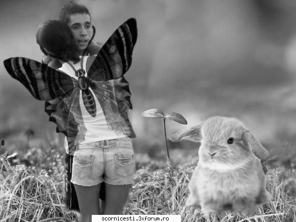 Creatii Photoshop - aleeeeeeeeeeeeeeeeeeex ;) - General