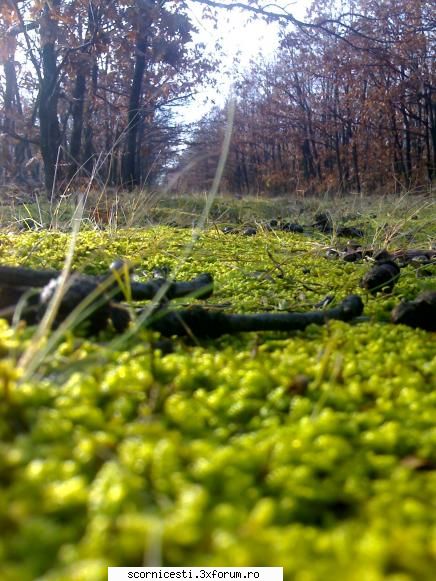 Poze cu imprejurimile orasului - Funky - Poze , upload and share